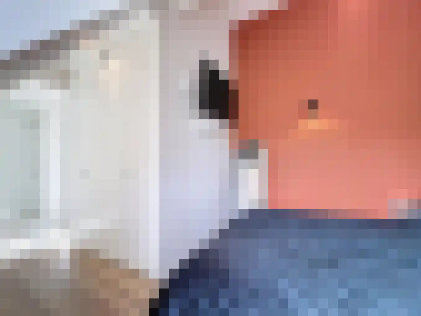 Zandstraat 23 Sluis thumbnail 26