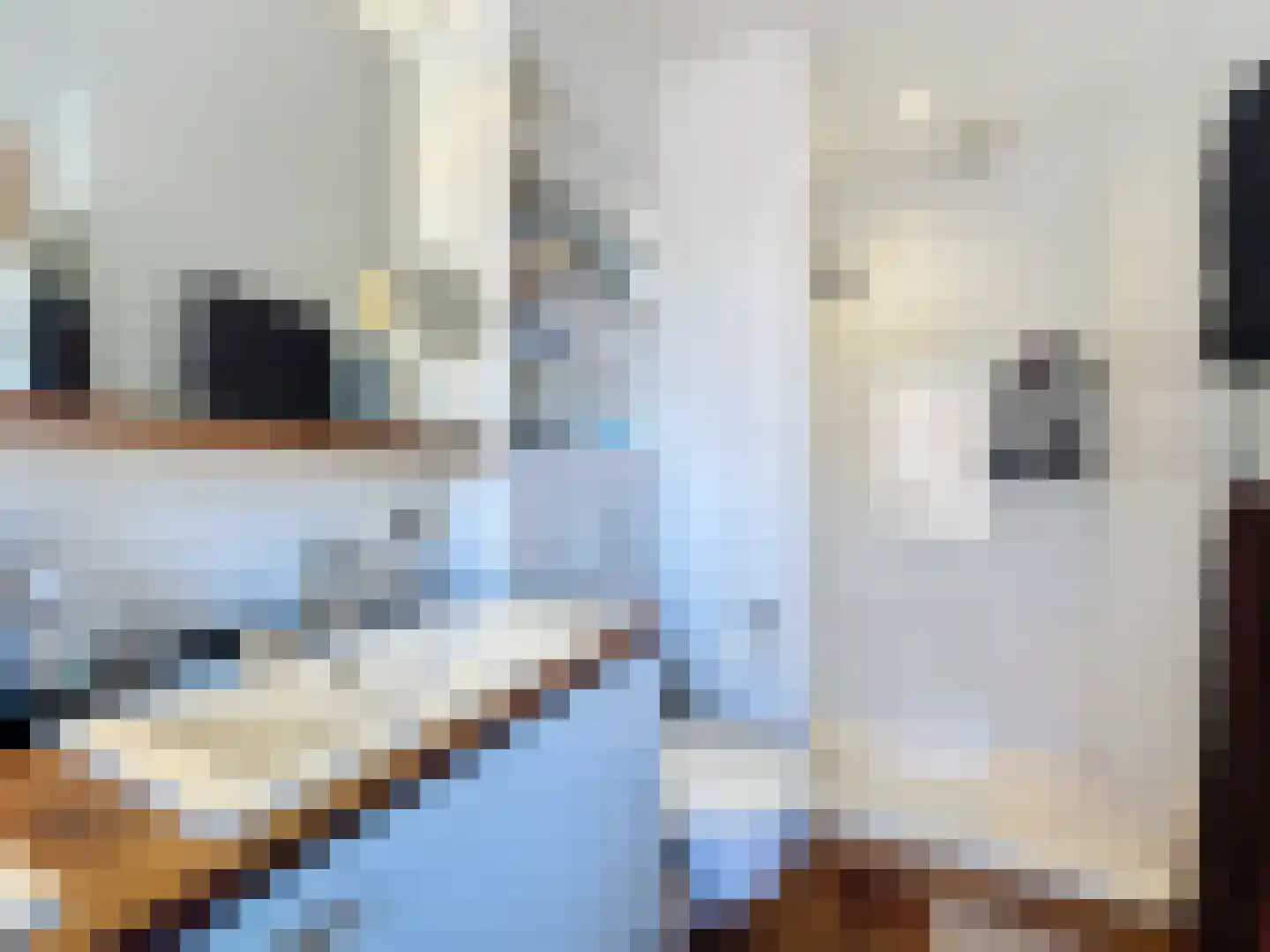 Zandstraat 23 Sluis thumbnail 28