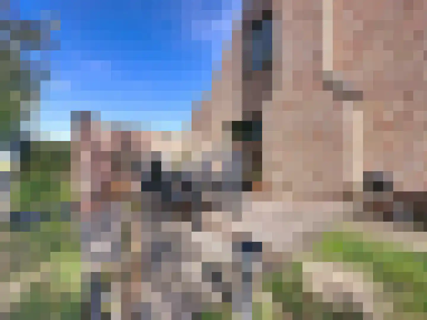 Zandstraat 23 Sluis thumbnail 32