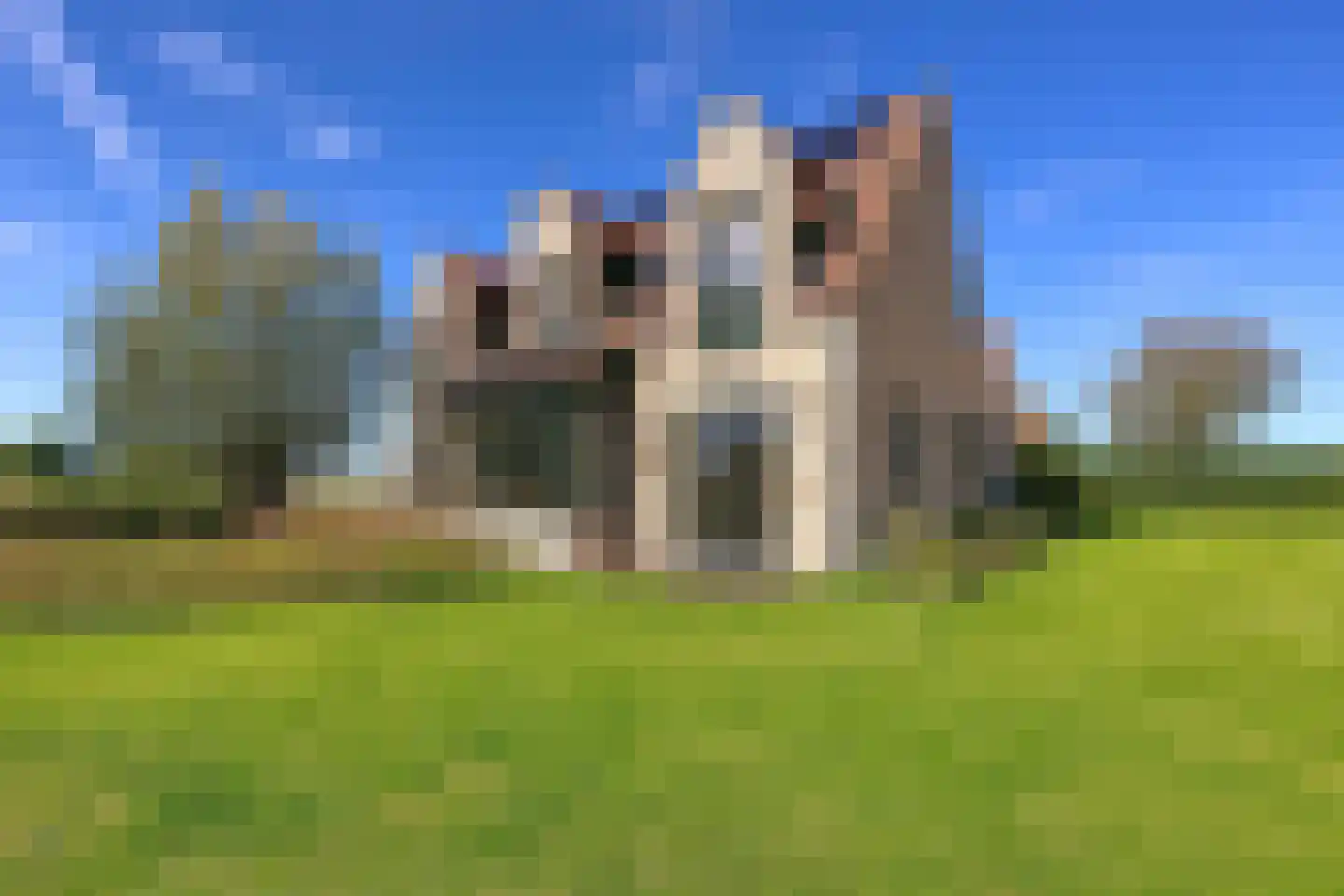 Zandstraat 23 Sluis thumbnail 9