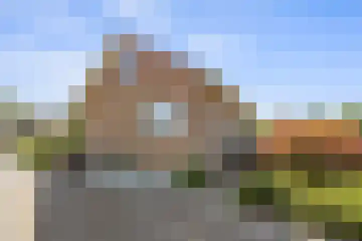 Zandstraat 24 Beneden-Leeuwen thumbnail 53