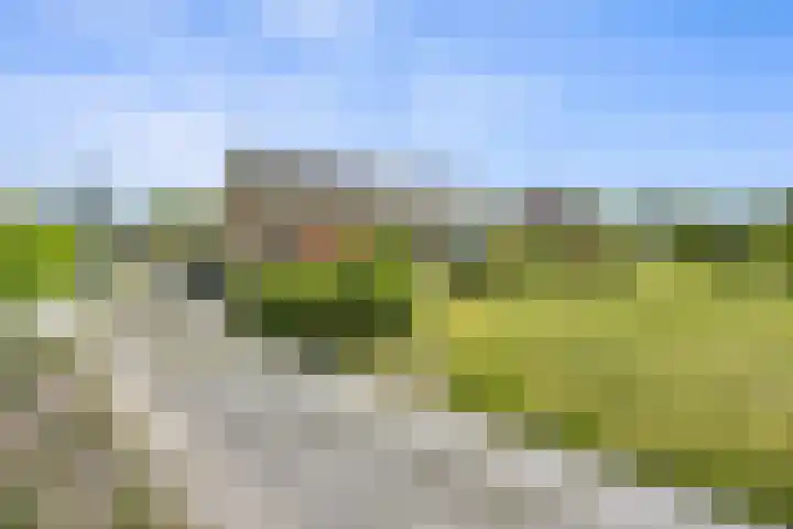 Zandstraat 24 Beneden-Leeuwen thumbnail 64