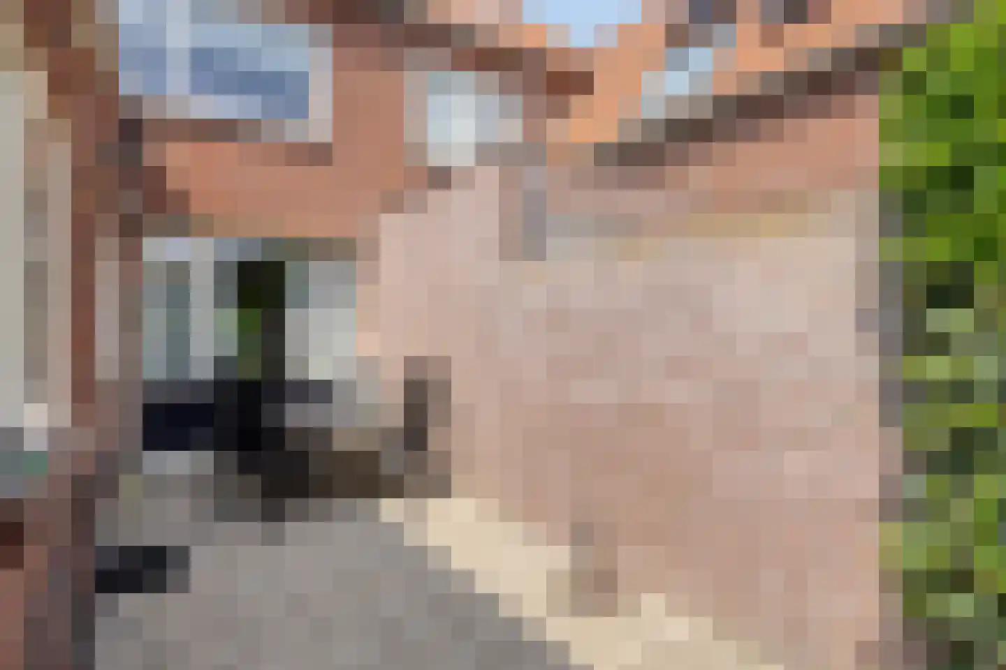 Zandstraat 24 Bergen op Zoom thumbnail 30