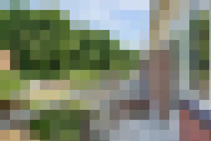 Zandstraat 24 Doetinchem thumbnail 29