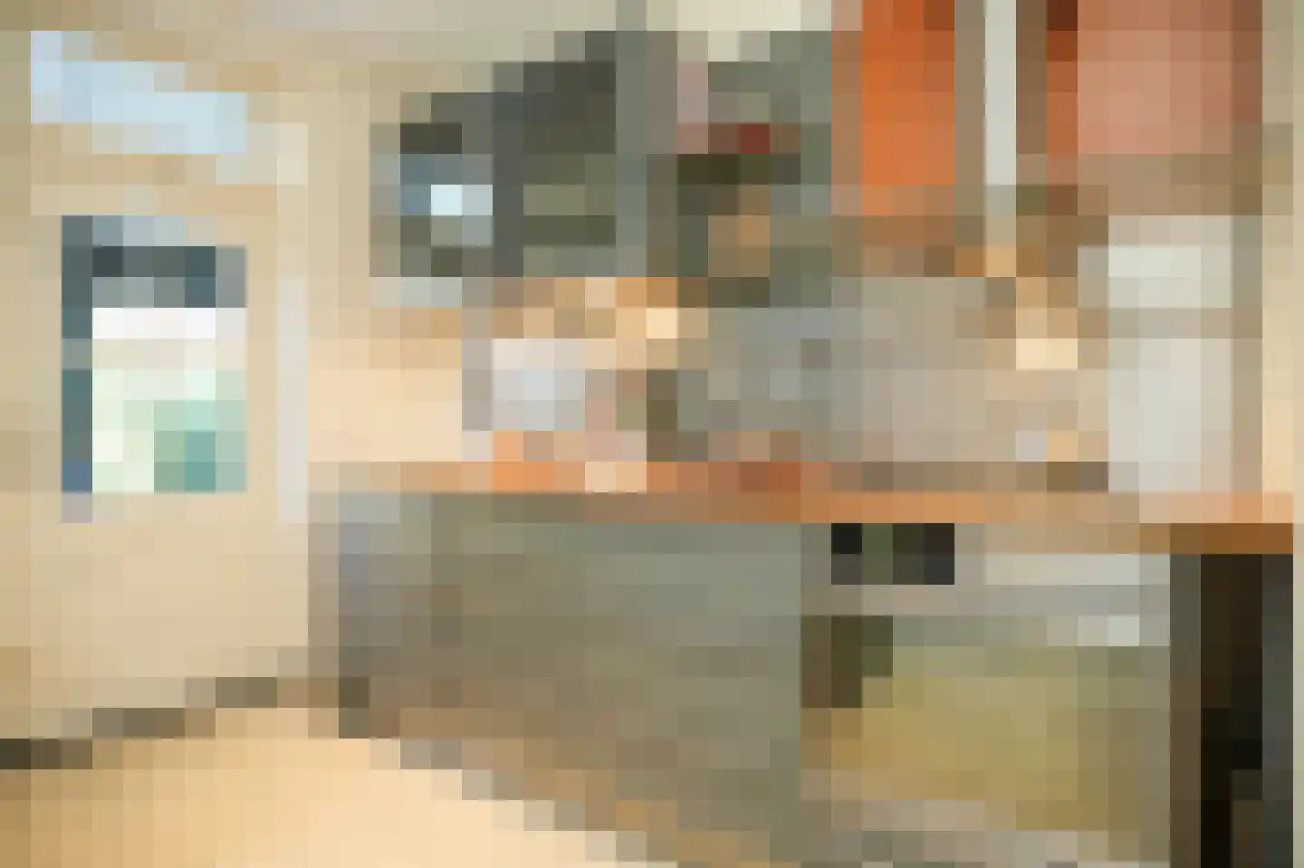 Zandstraat 24 Rosmalen thumbnail 16
