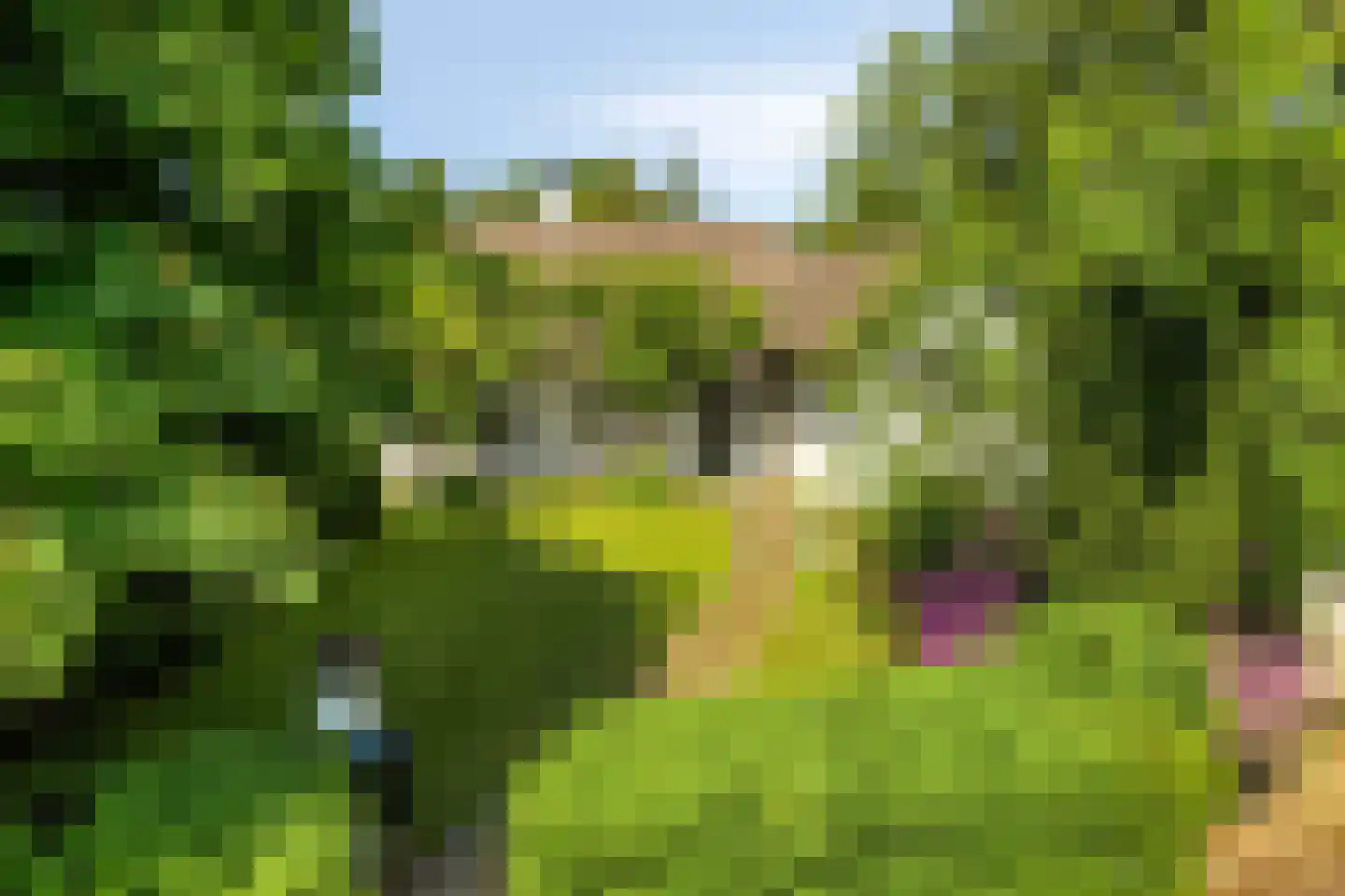 Zandstraat 24 Rosmalen thumbnail 37