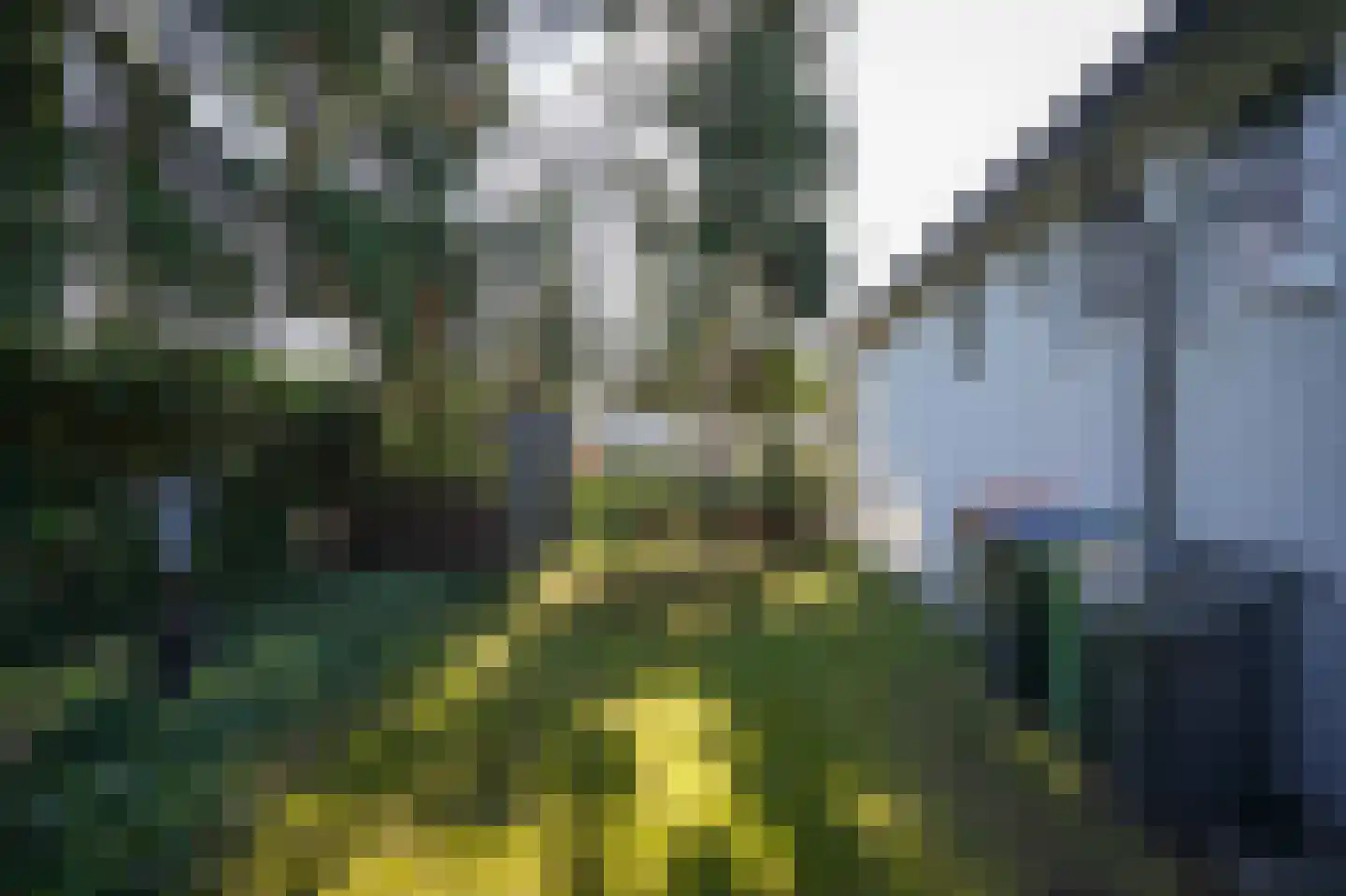 Zandstraat 24 Rosmalen thumbnail 38