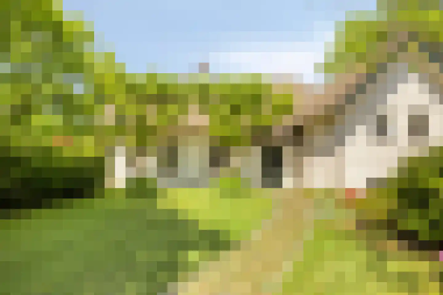 Zandstraat 24 Rosmalen thumbnail 38