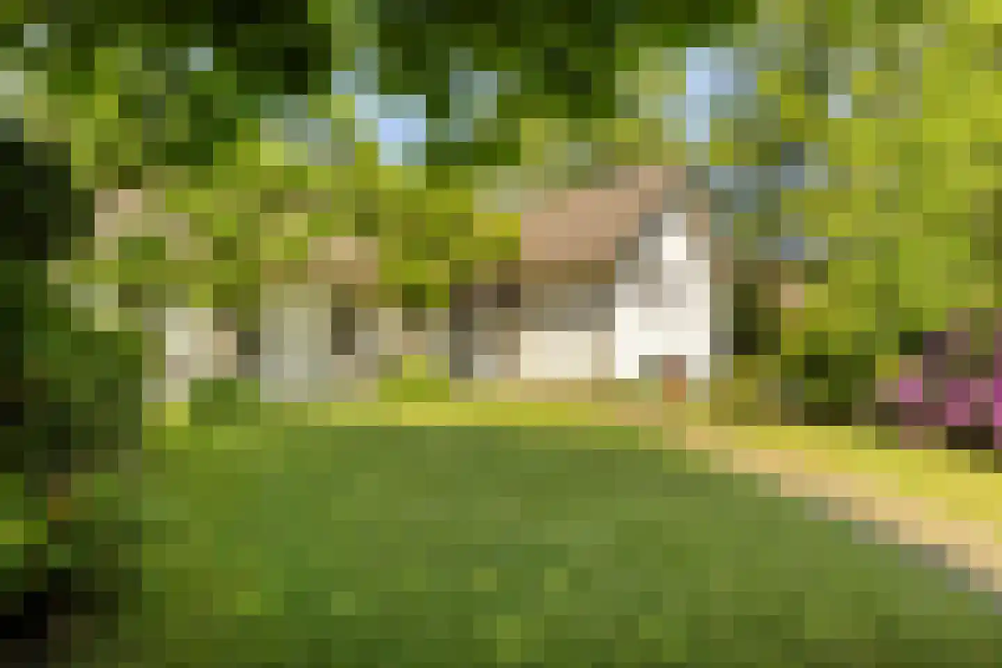Zandstraat 24 Rosmalen thumbnail 39