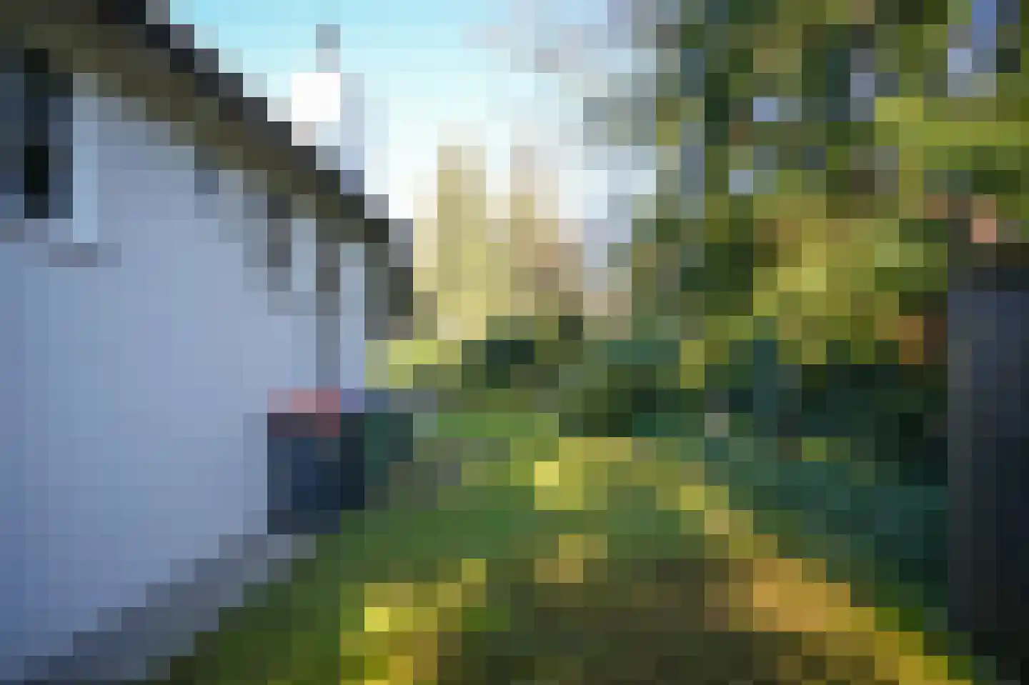 Zandstraat 24 Rosmalen thumbnail 39