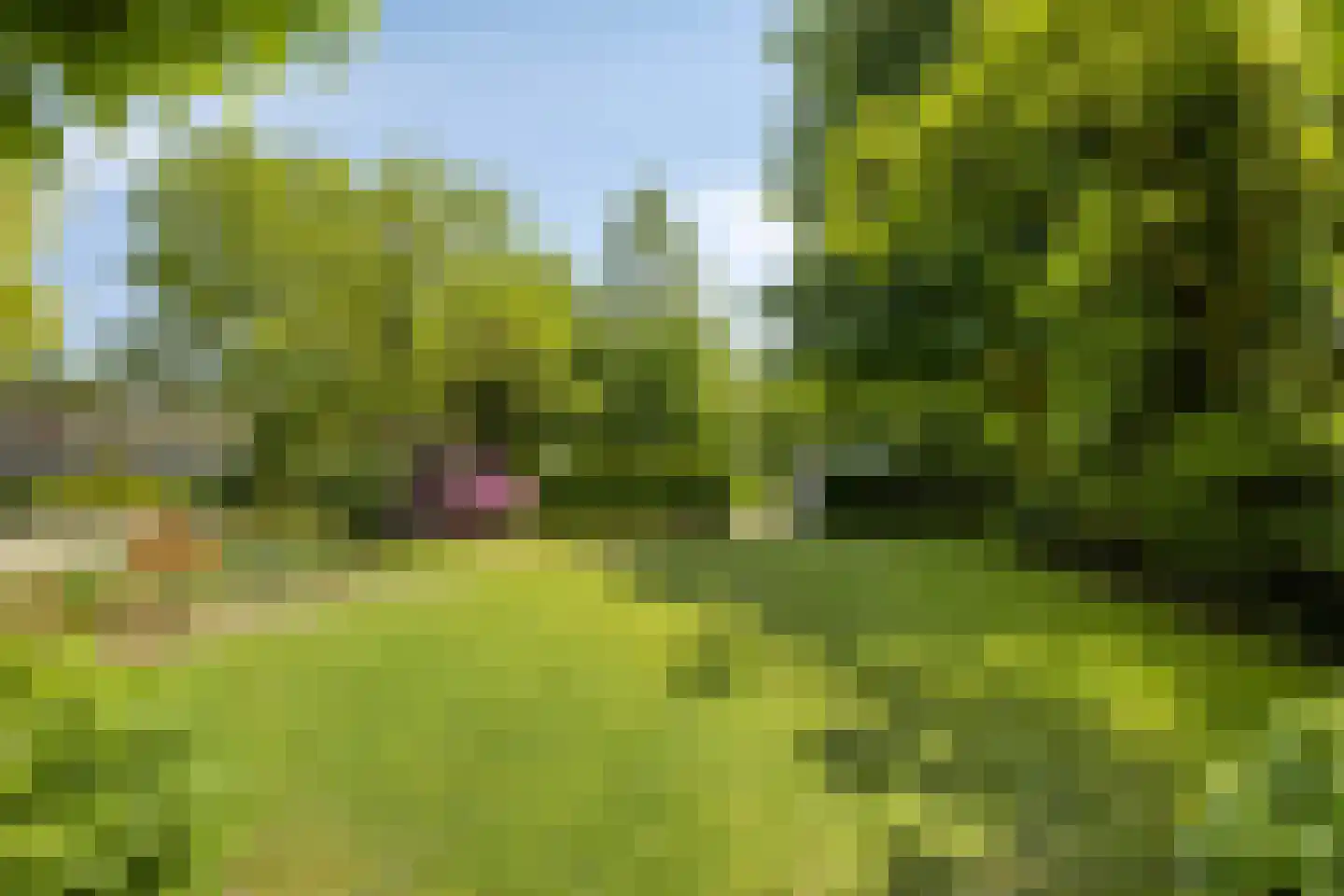 Zandstraat 24 Rosmalen thumbnail 40