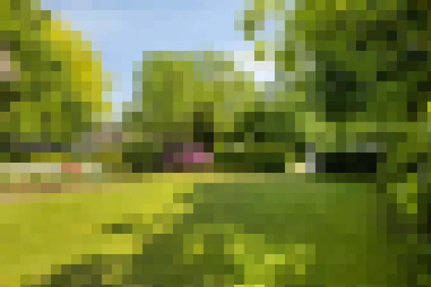 Zandstraat 24 Rosmalen thumbnail 41