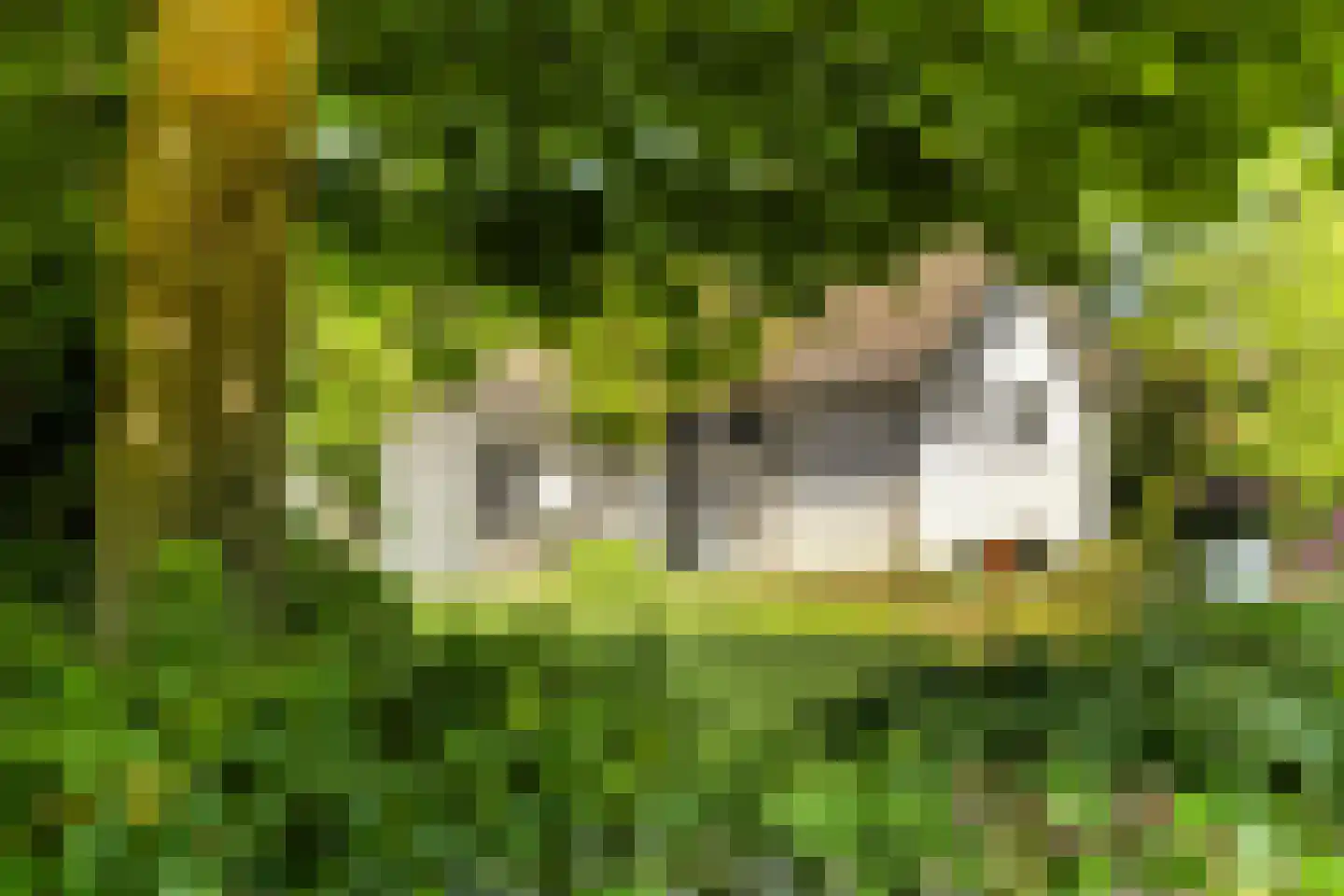 Zandstraat 24 Rosmalen thumbnail 43