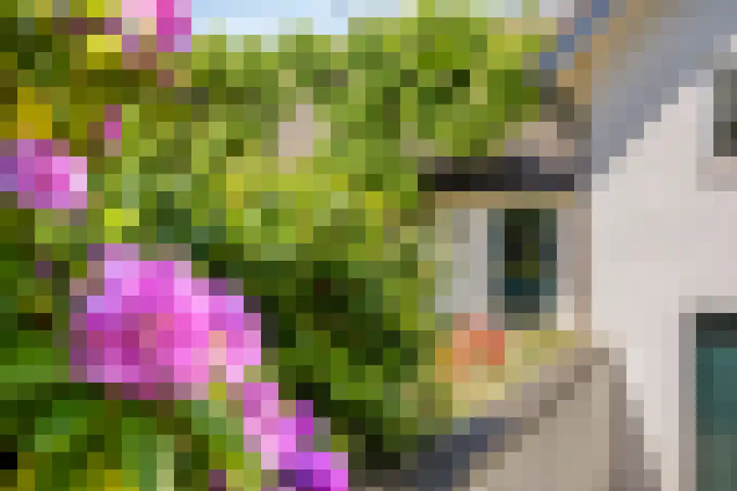 Zandstraat 24 Rosmalen thumbnail 44