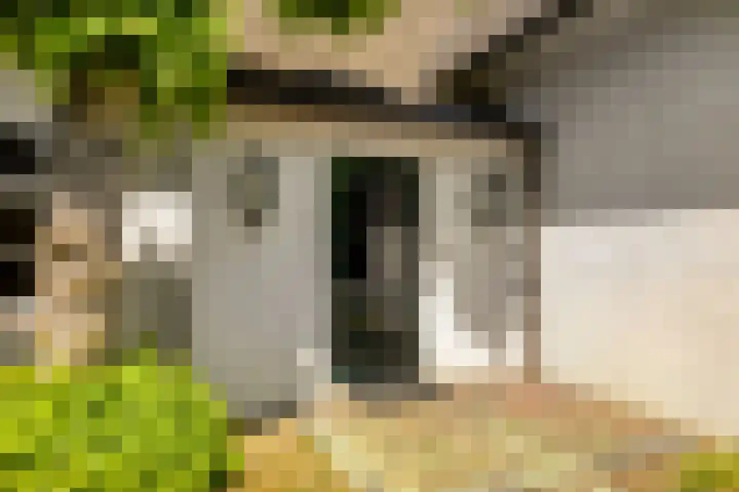 Zandstraat 24 Rosmalen thumbnail 45