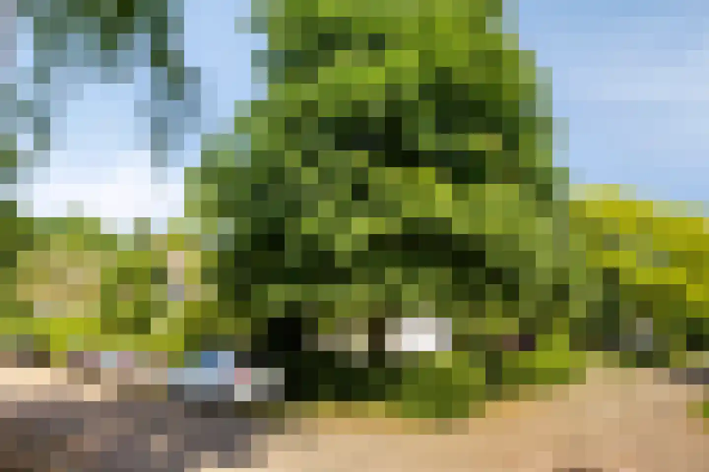 Zandstraat 24 Rosmalen thumbnail 49