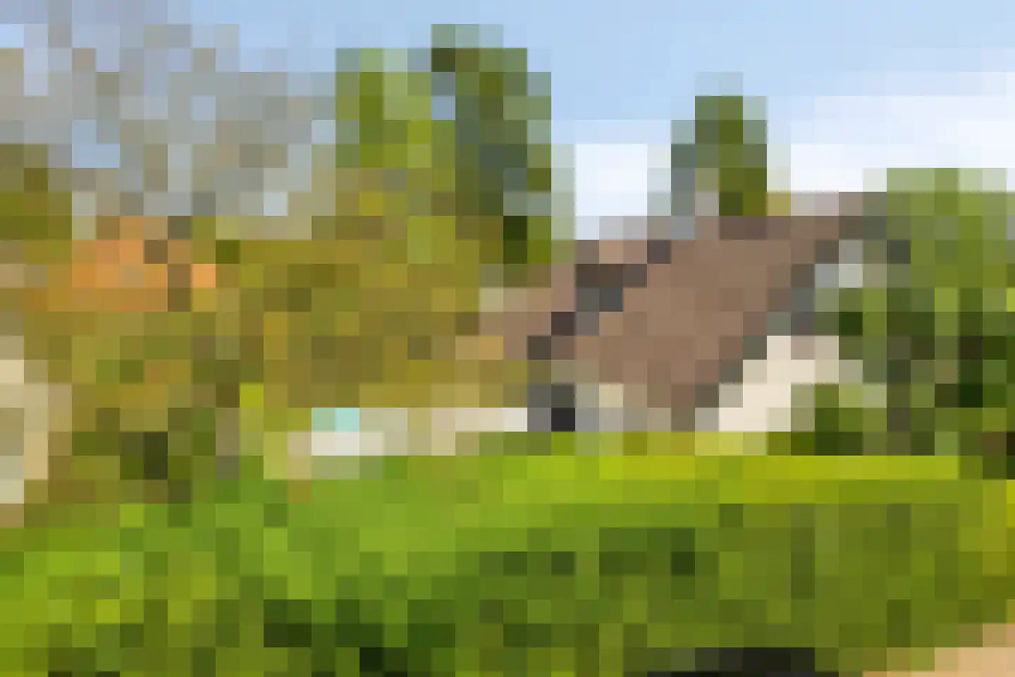 Zandstraat 24 Rosmalen thumbnail 50