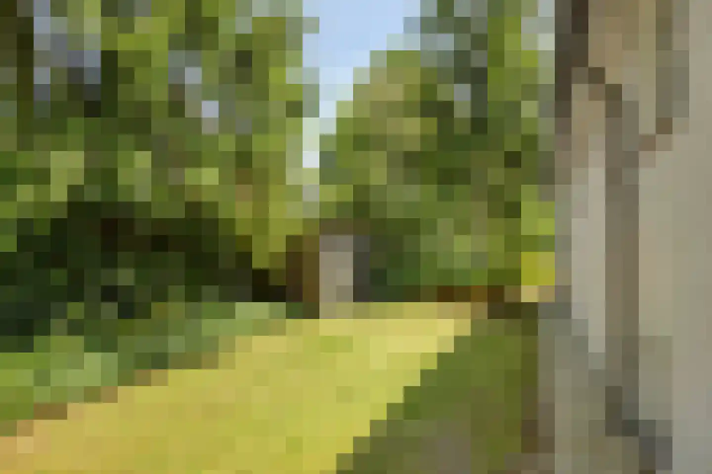 Zandstraat 24 Rosmalen thumbnail 51