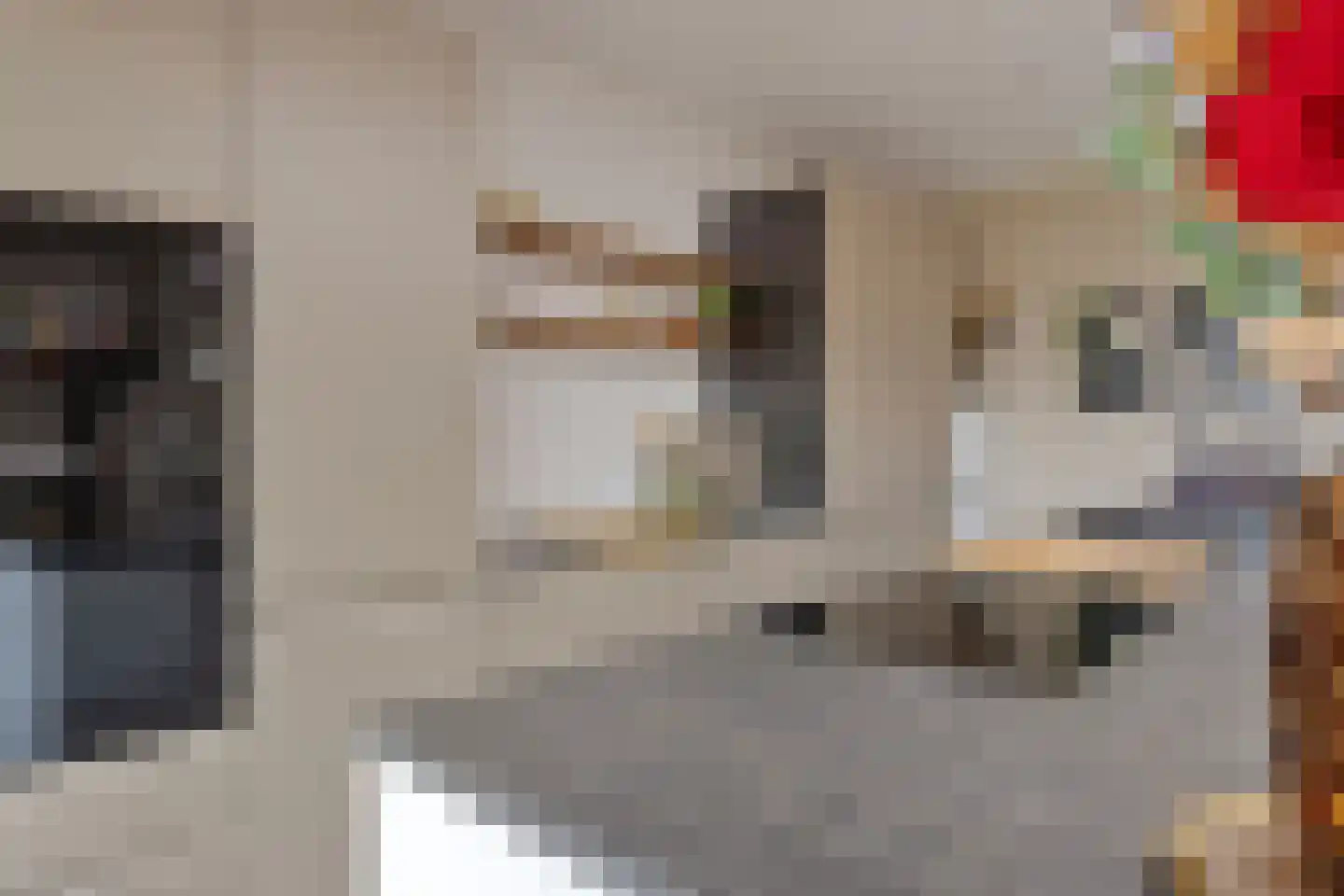 Zandstraat 24 Sas van Gent thumbnail 17