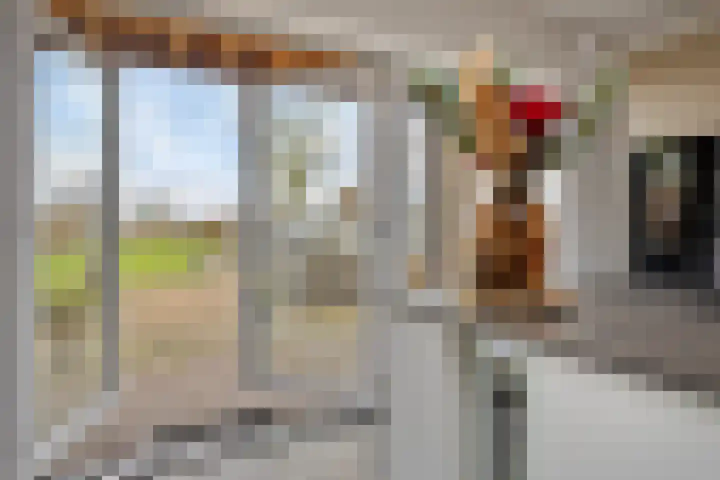 Zandstraat 24 Sas van Gent thumbnail 18