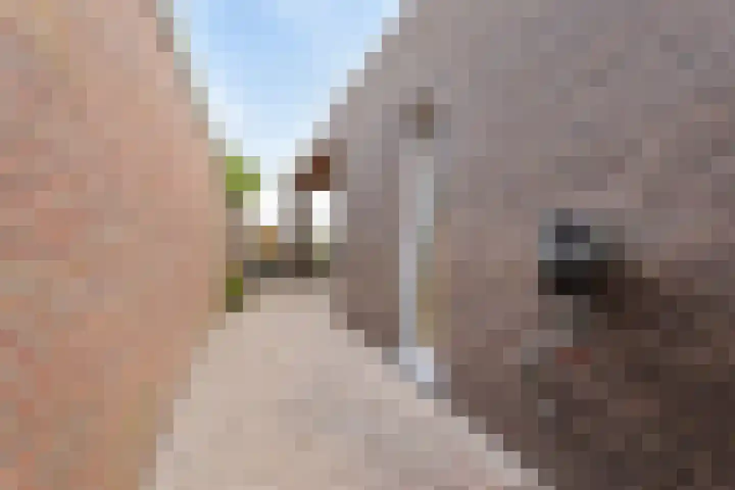 Zandstraat 24 Sas van Gent thumbnail 28