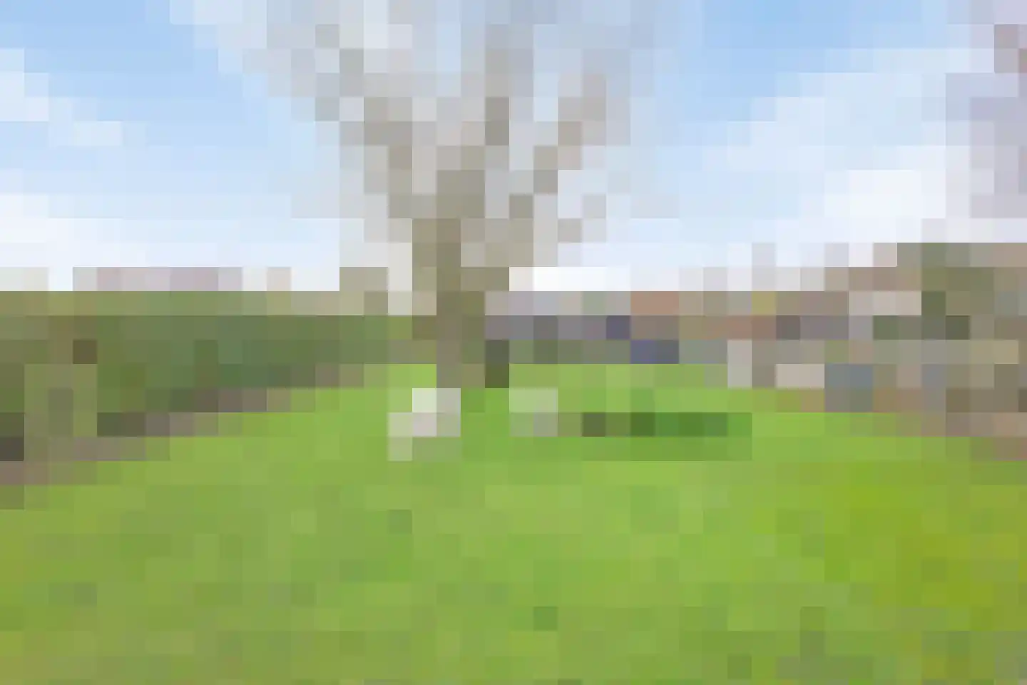 Zandstraat 24 Sas van Gent thumbnail 33