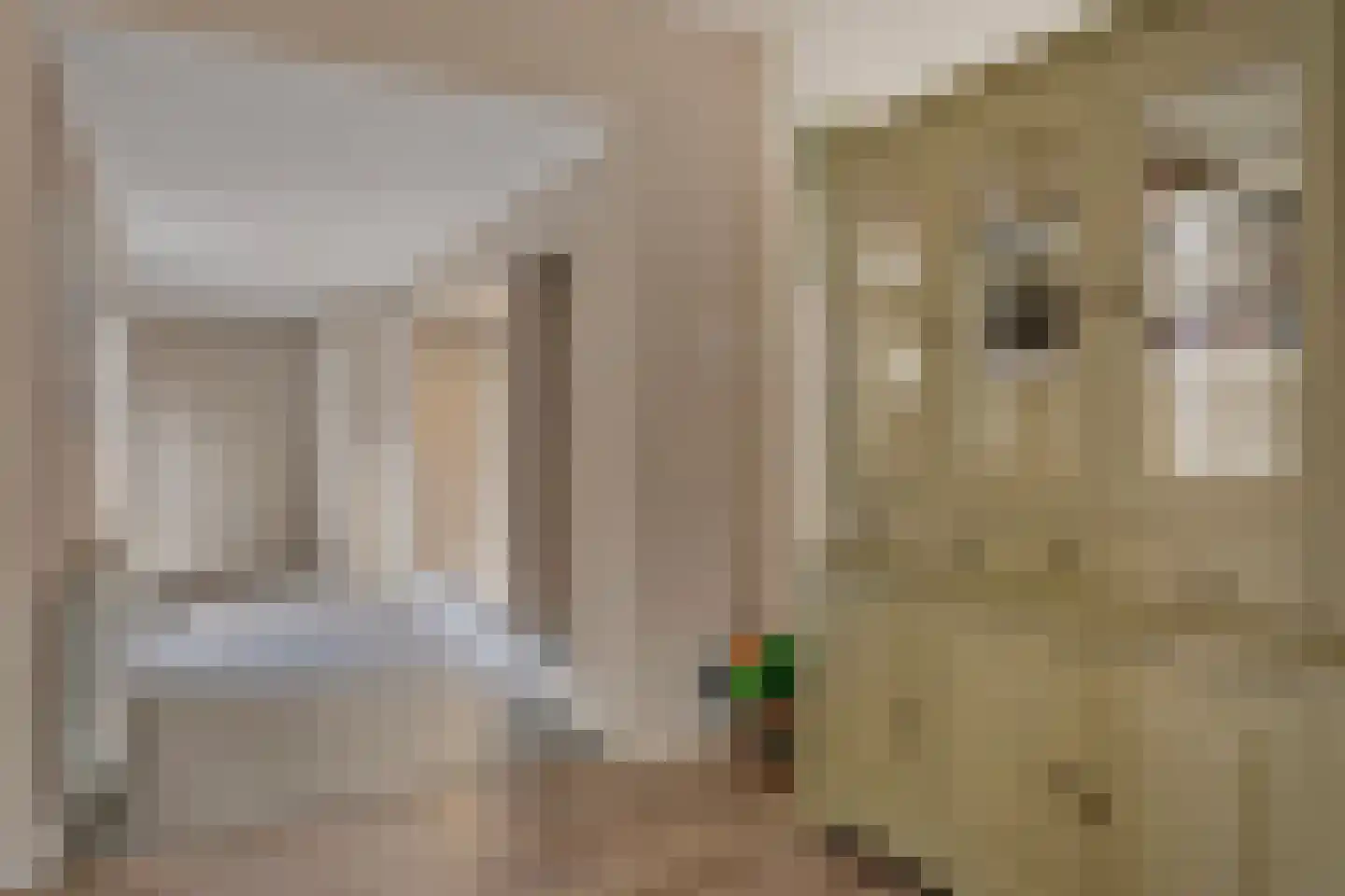 Zandstraat 24 Sas van Gent thumbnail 5