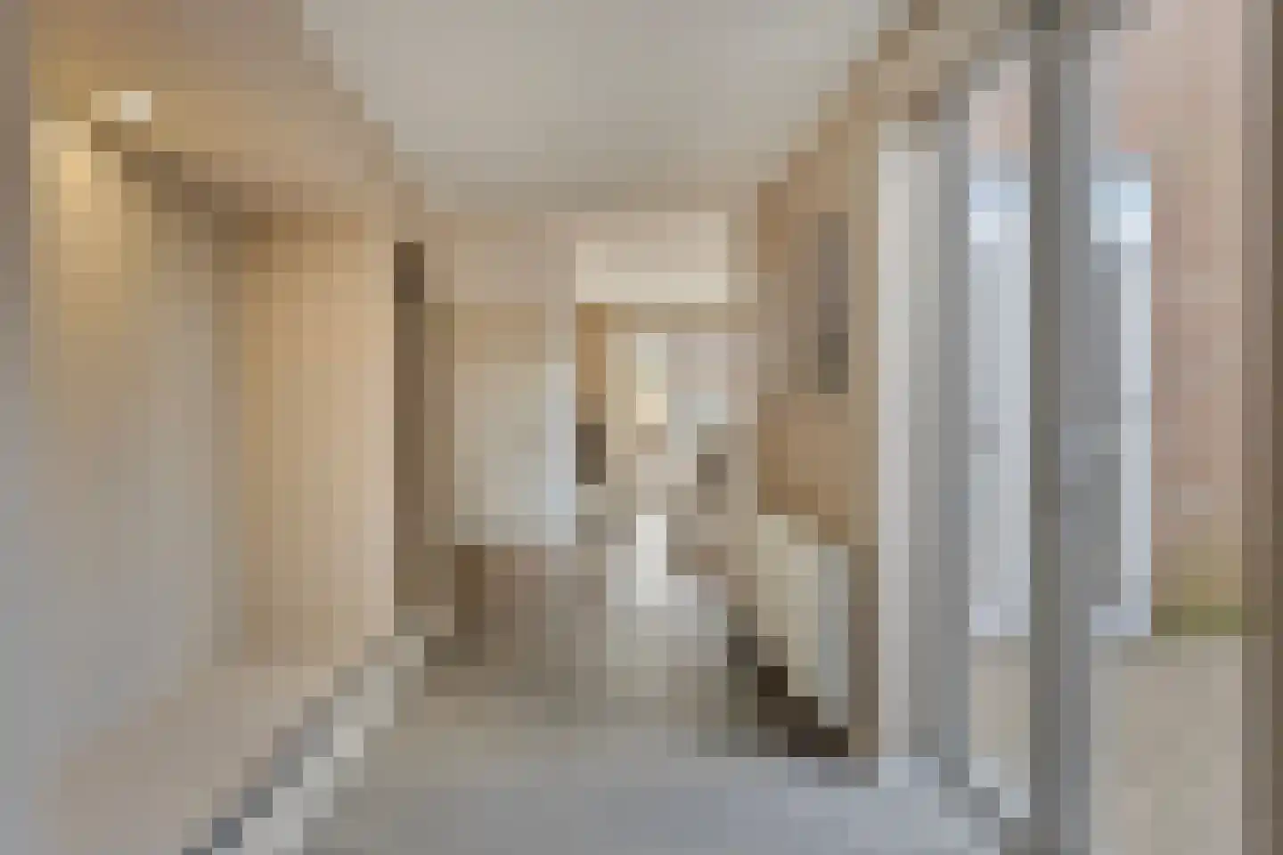 Zandstraat 24 Sas van Gent thumbnail 6