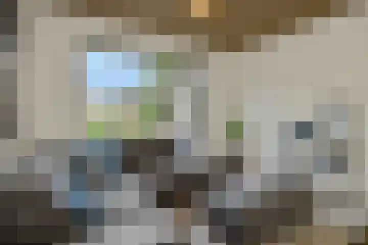 Zandstraat 25 Berlicum thumbnail 10