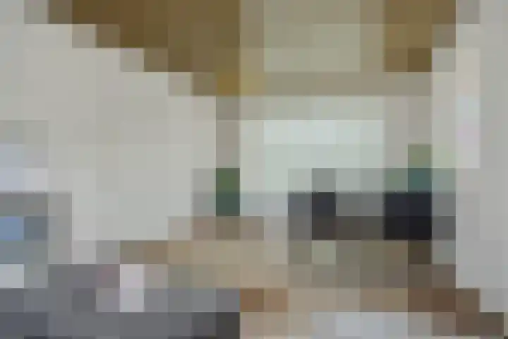 Zandstraat 25 Berlicum thumbnail 11
