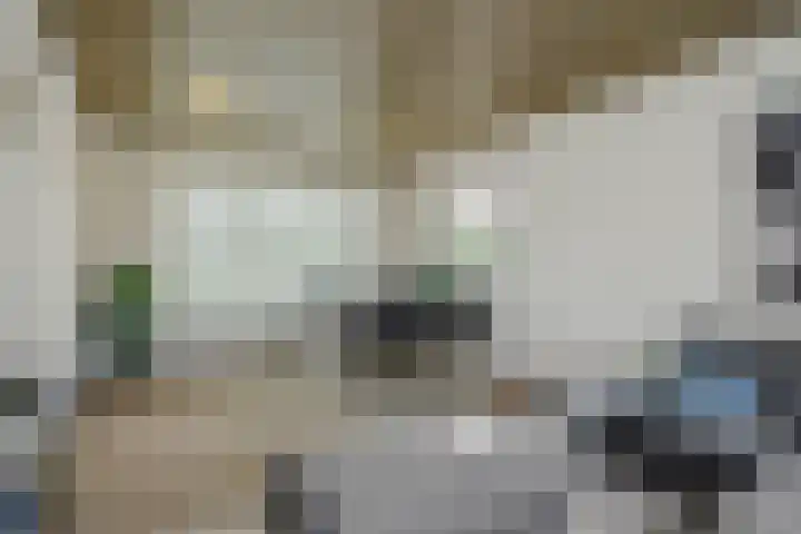 Zandstraat 25 Berlicum thumbnail 12