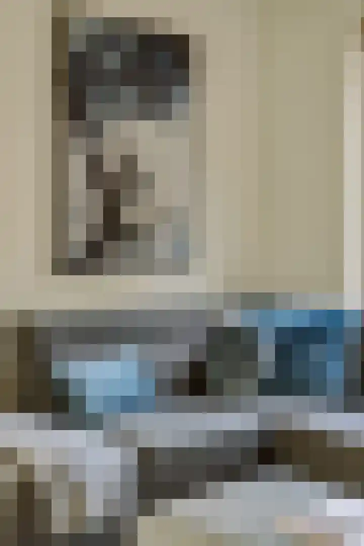 Zandstraat 25 Berlicum thumbnail 14