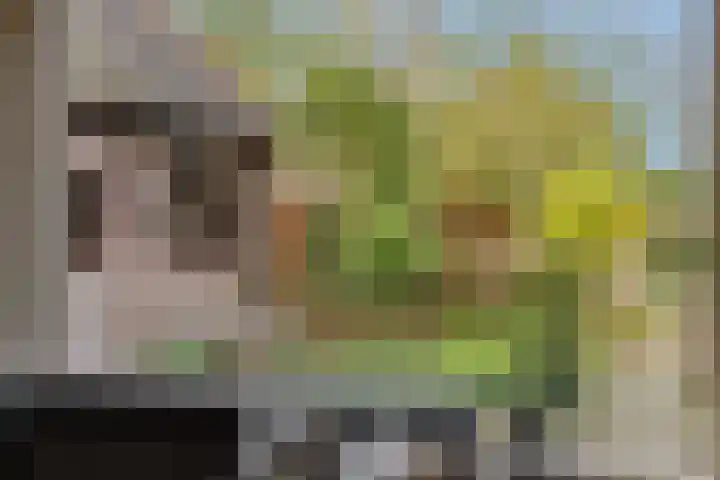 Zandstraat 25 Berlicum thumbnail 16