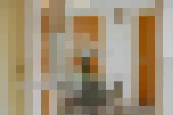 Zandstraat 25 Berlicum thumbnail 17
