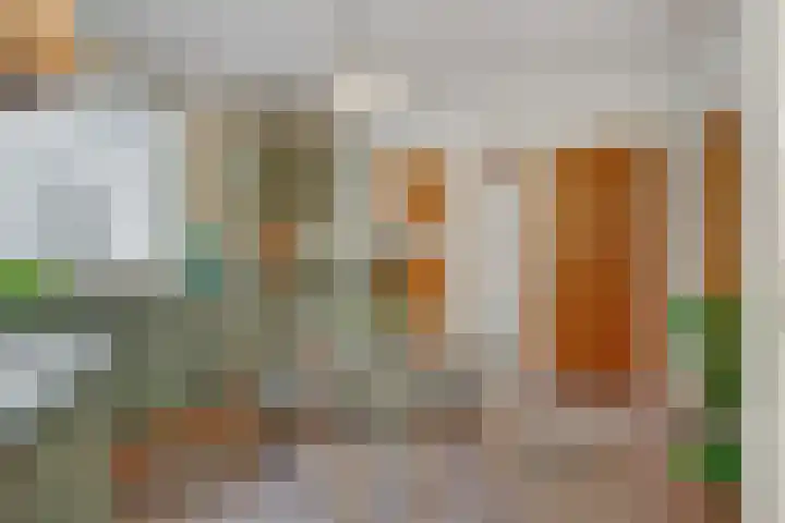 Zandstraat 25 Berlicum thumbnail 18