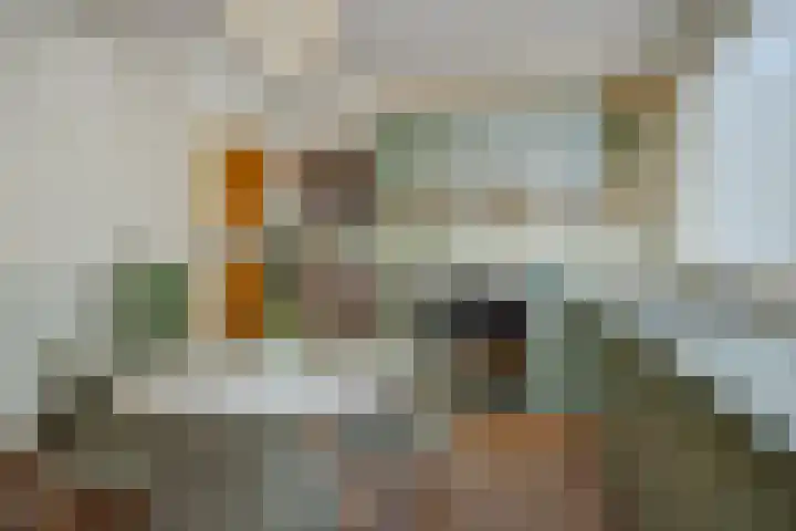 Zandstraat 25 Berlicum thumbnail 19