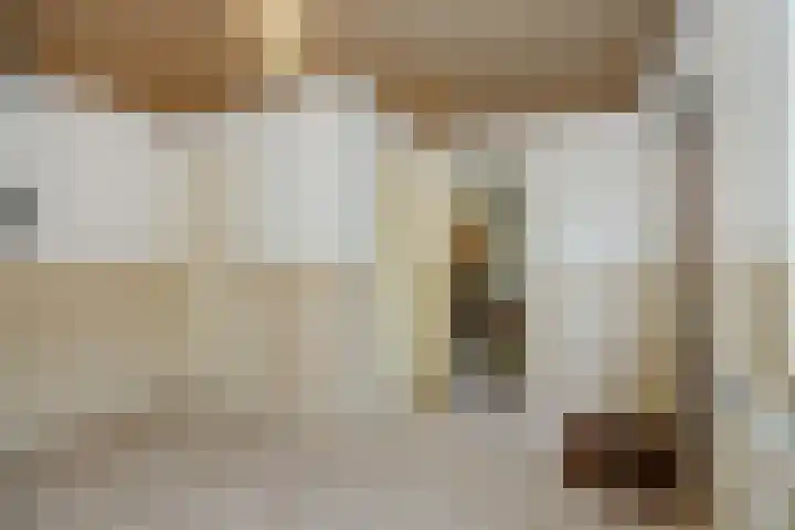 Zandstraat 25 Berlicum thumbnail 21