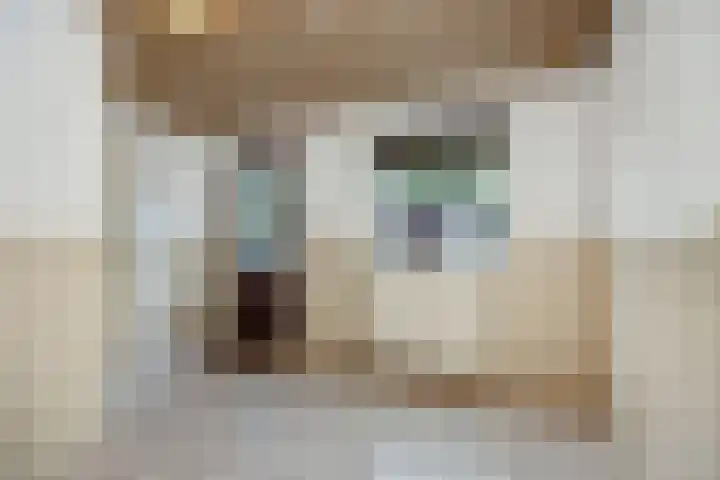 Zandstraat 25 Berlicum thumbnail 22