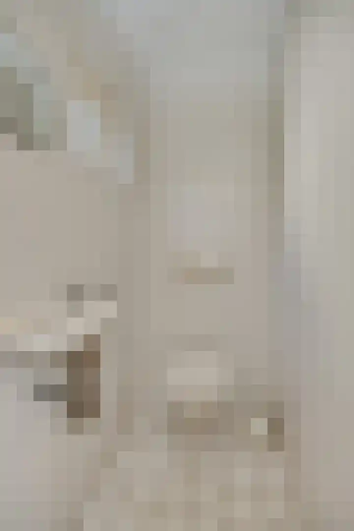 Zandstraat 25 Berlicum thumbnail 23