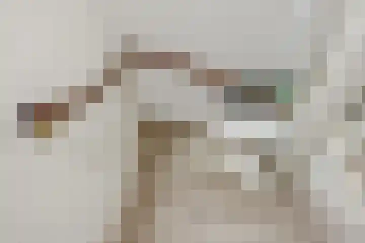 Zandstraat 25 Berlicum thumbnail 24