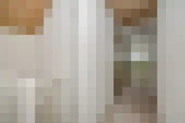 Zandstraat 25 Berlicum thumbnail 25