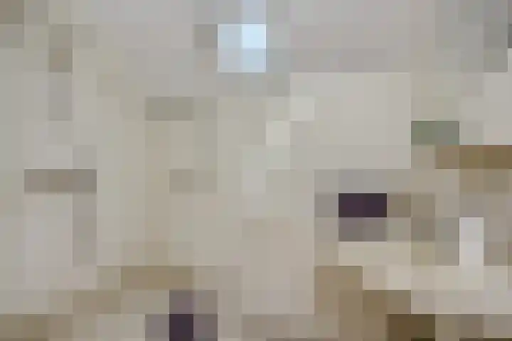 Zandstraat 25 Berlicum thumbnail 26
