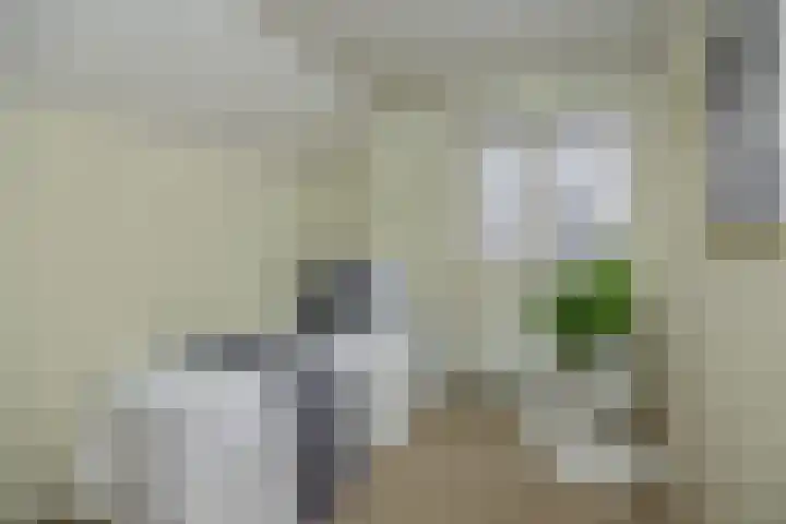 Zandstraat 25 Berlicum thumbnail 27