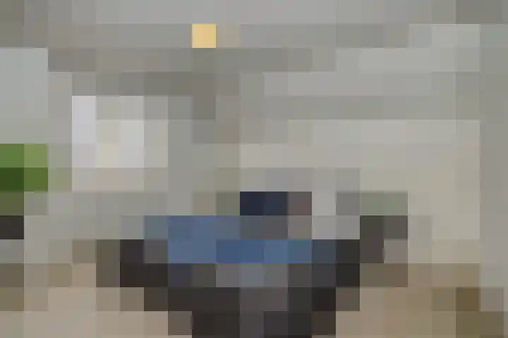 Zandstraat 25 Berlicum thumbnail 29