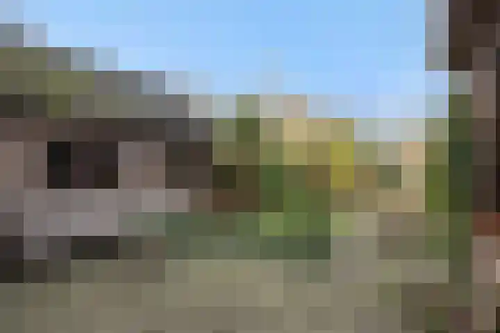Zandstraat 25 Berlicum thumbnail 34
