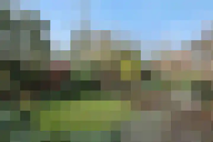Zandstraat 25 Berlicum thumbnail 36