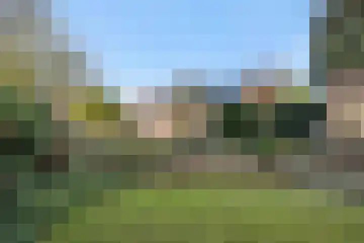 Zandstraat 25 Berlicum thumbnail 37