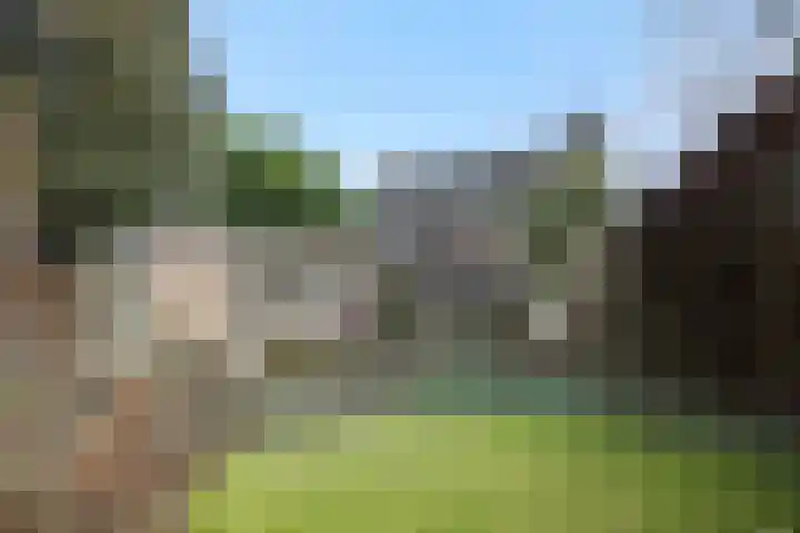 Zandstraat 25 Berlicum thumbnail 38