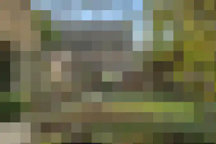 Zandstraat 25 Berlicum thumbnail 39