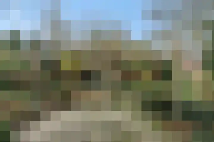Zandstraat 25 Berlicum thumbnail 40